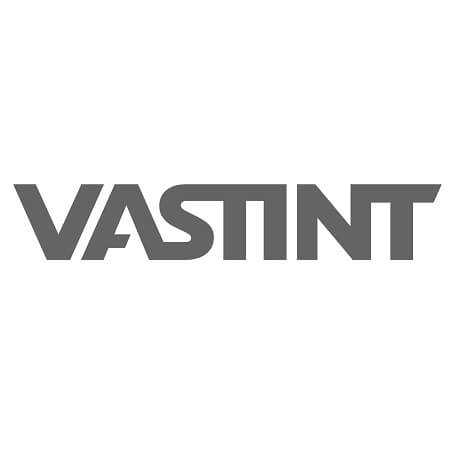 Vastint